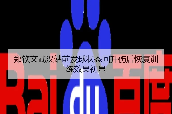 郑钦文武汉站前发球状态回升伤后恢复训练效果初显